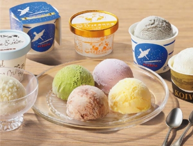 岩手県産 岩手のアイスクリーム詰合せ 10種 商品画像