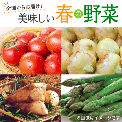 全国からお届け！美味しい旬の野菜