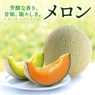 芳醇な香り、甘み、瑞々しさ。メロン