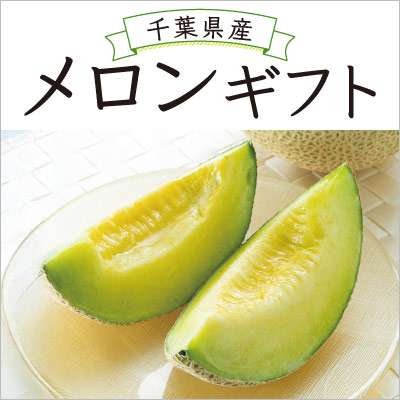 千葉県産メロンギフト