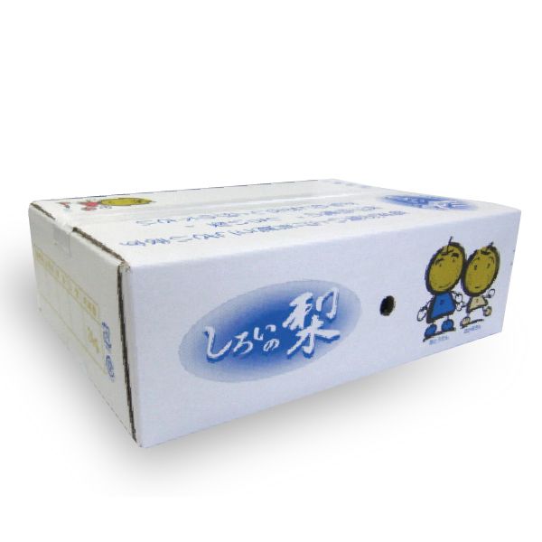 千葉県白井産幸水梨 3kg7・8・9・10玉【限定170点】【お届け期間:8/1(金)〜8/25(月)】【MK】　商品画像1
