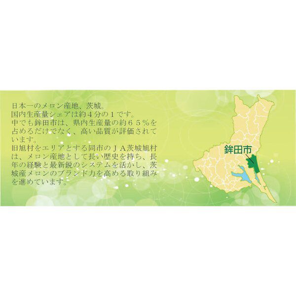 茨城県 JAほこた イバラキングメロン 3L2玉【お届け期間：5月15日〜6月30日】【KN】　商品画像1