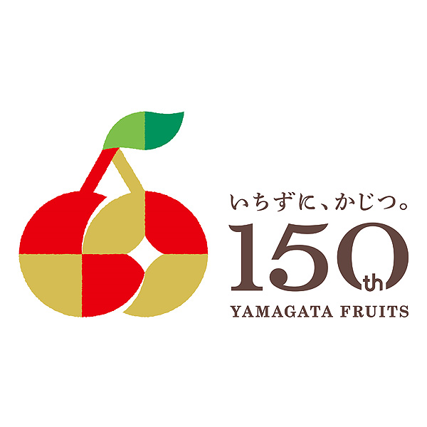 山形県産天童生産組合 さくらんぼ 佐藤錦 250g×2パック入 バラ 秀品 L〜2L【お届け期間：6月1日〜6月30日】【おいしいお取り寄せ】　商品画像3