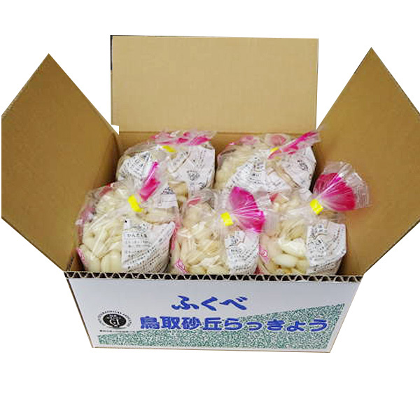 鳥取県産(JA鳥取いなば)(生)ふくべ砂丘らっきょう(洗い)5kgSサイズ(1kg×5袋)【お届け期間:6月6日〜6月30日】【NN】　商品画像3