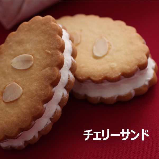 えの木てい アソートサント゛10個入【お届け期間:6/11(水)〜8/25(月)】【夏の贈りもの・お中元】【MK】　商品画像3