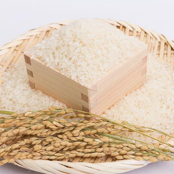 【令和6年産】【精米】青森県産青天の霹靂 5kg【おいしいお取り寄せ】　商品画像4