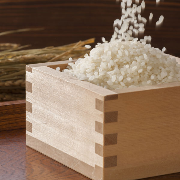 【令和6年産】【精米】福井県産 いちほまれ 4kg(2kg×2袋)【おいしいお取り寄せ】　商品画像5