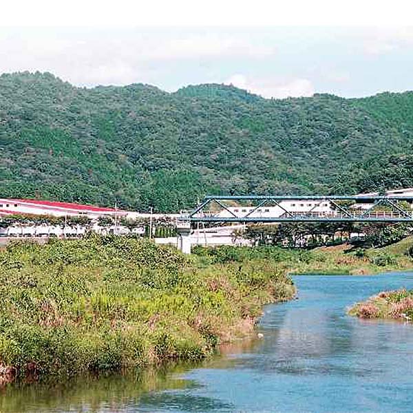 兵庫県 ヤマサ蒲鉾 詰合せ姫路 穴子蒲鉾1枚、しらさぎ揚げプレーン、えび穴子各2枚、黄金はも3本、かに風味かまぼこ1袋、いっすんぼうる1袋、竹三昧1袋【NN】　商品画像6