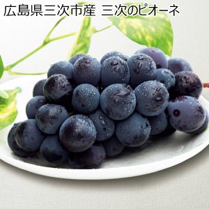広島県三次市産 三次のピオーネ(お届け期間：7/15〜8/10)【夏の贈りもの・お中元】