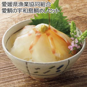 愛媛県漁業協同組合 愛鯛の宇和島鯛めしセット【夏の贈りもの・お中元】