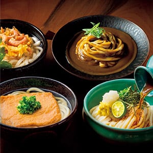 うどん本陣 山田家 冷凍讃岐うどん 4種の味の詰合せ(個包装)【夏の贈りもの・お中元】[R-5]