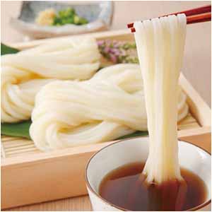 館林うどん 国産小麦100％うどん、半生セット【父の日】
