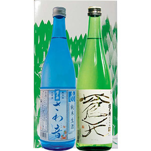 小澤酒造 澤乃井蔵元直送2本セット【夏の贈りもの・お中元】[SKC-40]