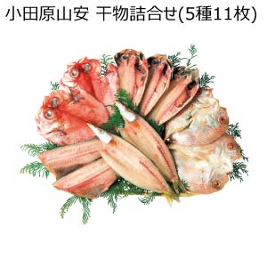 小田原山安 干物詰合せ(5種11枚)【夏の贈りもの・お中元】