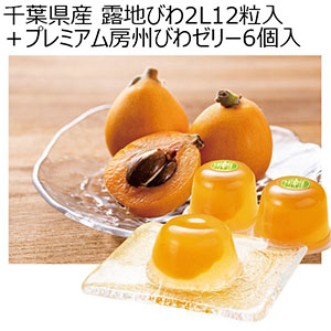 千葉県産 露地びわ2L12粒入＋プレミアム房州びわゼリー6個入【限定100点】【お届け期間：6/1(日)〜7/15(火)】【MK】