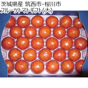 茨城県産 筑西市・桜川市 フルーツトマトギフト(大)18〜39玉入り【お届け期間：5月7日〜6月15日】【KN】