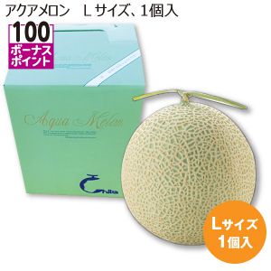 千葉県産 アクアメロン Lサイズ1個入り【お届け期間:7/3(木)〜8/10(日)】【MK】