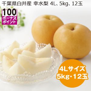 千葉県白井産 幸水梨 4Lサイズ5kg12玉【お届け期間:8/1(金)〜8/25(月)】【MK】