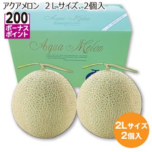 千葉県産 アクアメロン 2Lサイズ2個入り【お届け期間:7/3(木)〜8/10(日)】【MK】