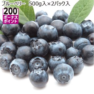 千葉県産 ブルーベリー 500g入り×2パック入り【お届け期間:7/15(火)〜8/25(月)】【MK】