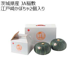 茨城県産 JA稲敷 江戸崎かぼちゃ大玉2個入り【お届け期間：6月10日〜6月30日】【KN】