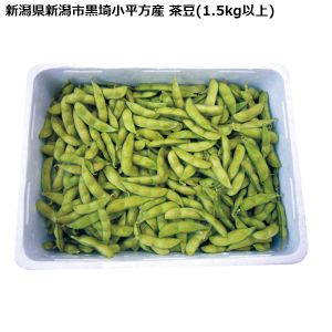 新潟県新潟市黒埼小平方産 茶豆(1.5kg以上)【お届け期間:8月1日〜8月19日】【KN】