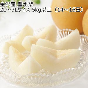 金沢産 金沢 豊水梨 2L〜3Lサイズ 5kg以上(14〜16玉)【CB】
