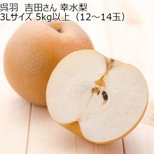 富山県呉羽産 吉田さん 幸水梨 3Lサイズ 5kg以上(12〜14玉)【CB】