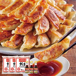 大阪王将 肉餃子 720g(45個)×3袋 タレ付き(L7288)【サクワ】【大阪王将まつり】