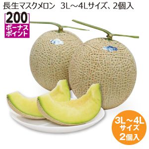 千葉県産 長生マスクメロン 3L〜4Lサイズ2個入り【お届け期間:6/20(金)〜7/30(水)】【MK】