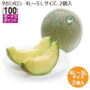 千葉県産 タカミメロン 4L〜5Lサイズ2個入り【お届け期間:6/17(火)〜7/30(水)】【MK】