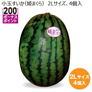 千葉県産 小玉すいか(姫まくら) 2Lサイズ4個入り【お届け期間:6/20(金)〜7/20(日)】【MK】