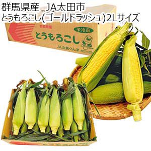 群馬県産 JA太田市 とうもろこし(ゴールドラッシュ)2Lサイズ ・13本入り【お届け期間：6月19日〜7月13日】【KN】