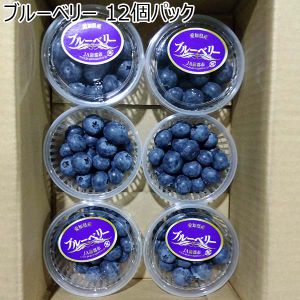 愛知県産 JA蒲郡市 ブルーベリー 12個パック【CB】