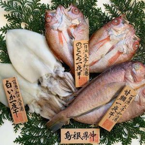 島根岡富商店「おおだブランド」銀山甘鯛1枚(175g)・白いか2枚・のどぐろ2〜3枚(計155g)【夏の贈りもの・お中元】【NN】