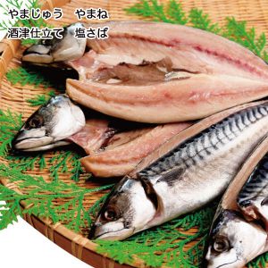 鳥取県 やまじゅう やまね 酒津仕立て 塩さば酒津仕立て 塩さば4尾【お届け期間:6月11日〜8月25日】【NN】