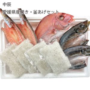 愛媛県 中辰 愛媛県産開き・釜あげセット あじ開き(約100g×2)、たい開き(約150g×1)、かます開き(約100g×2)、釜あげしらす40g×4【お届け期間:6月11日〜8月25日】【NN】