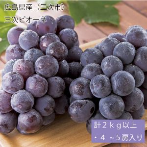 広島県産(三次市)三次ピオーネ 計2kg以上・4〜5房入り【お届け期間:7月15日〜8月10日】【NN】