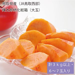鳥取県産(JA鳥取西部)輝太郎柿化粧箱(大玉) 計3kg以上・6〜7玉入り【お届け期間:10月10日〜10月30日】【NN】