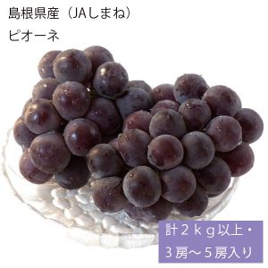 島根県産(JAしまね) ピオーネ 計2kg以上・3〜5房入り【お届け期間:7月1日〜8月12日】【NN】