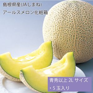 島根県産(JAしまね) アールスメロン化粧箱 青秀以上2Lサイズ・5玉入り【お届け期間:7月5日〜8月11日】【NN】