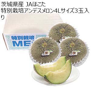 茨城県 JAほこた 特別栽培アンデスメロン4Lサイズ3玉入り【お届け期間：5月25日〜6月30日】【KN】