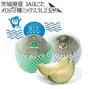 茨城県 JAほこた メロン2種ミックス3L2玉入(アンデス1玉、イバラキング1玉)【お届け期間：5月12日〜6月30日】【KN】