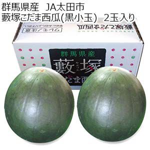 群馬県産 JA太田市 藪塚こだま西瓜(黒小玉)2玉入り【お届け期間：6月17日〜7月20日】【KN】
