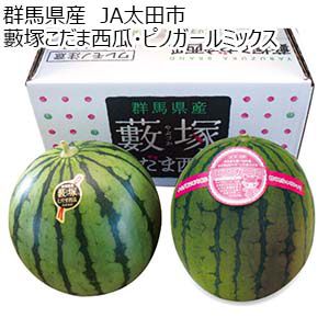 群馬県産 JA太田市 藪塚こだま西瓜・ピノガール各1玉 ミックス【お届け期間：5月27日〜6月29日】【KN】