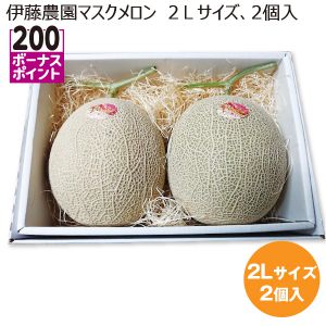 千葉県産 伊藤農園マスクメロン 2Lサイズ2個入り 【限定100点】【お届け期間:7/1(火)〜7/30(水)】【MK】