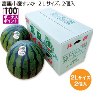 千葉県産 富里市産すいか 2Lサイズ2個入り【お届け期間:6/6(金)〜7/10(木)】【MK】