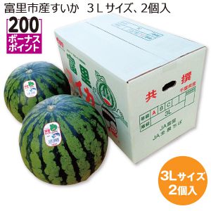 千葉県産 富里市産すいか 3Lサイズ2個入り【お届け期間:6/6(金)〜7/10(木)】【MK】