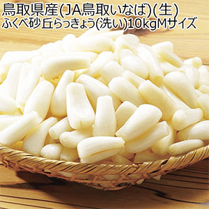 鳥取県産(JA鳥取いなば)(生)ふくべ砂丘らっきょう(洗い)10kgMサイズ(1kg×10袋)【お届け期間:6月6日〜6月30日】【NN】