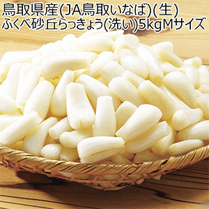 鳥取県産(JA鳥取いなば)(生)ふくべ砂丘らっきょう(洗い)5kgMサイズ(1kg×5袋)【お届け期間:6月6日〜6月30日】【NN】